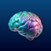 Colorful 3D human brain on dark blue background